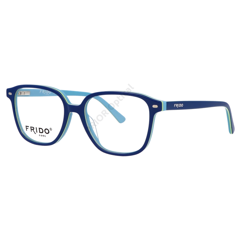 Frido szemüvegkeret FC66084-02