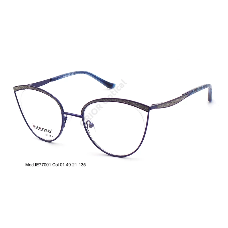Intenso Elite szemüvegkeret IE77001-01