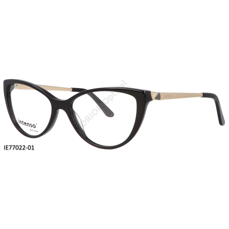 Intenso Elite szemüvegkeret IE77022-01